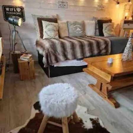 Renove Avec Terrasse, Parking , Proche Pistes,villard De Lans Апартаменты