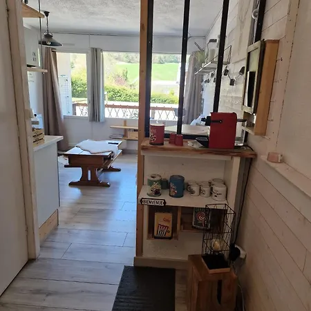 Renove Avec Terrasse, Parking , Proche Pistes,villard De Lans * Villard-de-Lans