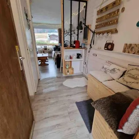 Apartment Chaleureux A De Lans *