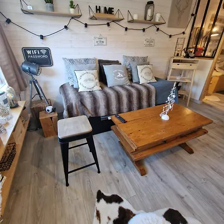 Renove Avec Terrasse, Parking , Proche Pistes,villard De Lans * Villard-de-Lans