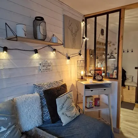 Apartament Renove Avec Terrasse, Parking , Proche Pistes,villard De Lans