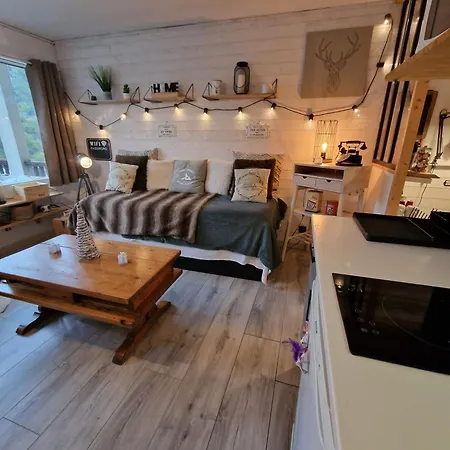 Renove Avec Terrasse, Parking , Proche Pistes,villard De Lans Apartament Villard-de-Lans