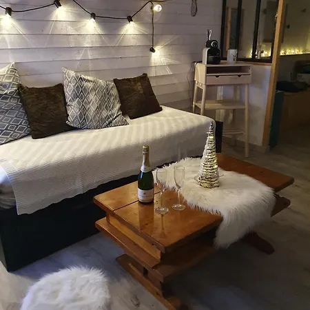 Renove Avec Terrasse, Parking , Proche Pistes,villard De Lans