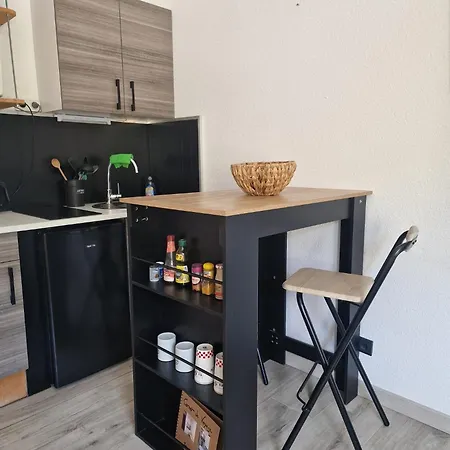 Renove Avec Terrasse, Parking , Proche Pistes,villard De Lans